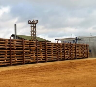 wood dry kiln in South Africa