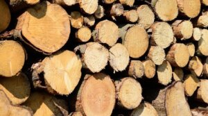 how long does take to kiln dry lumber