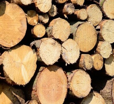 g3d905022d3b6c4d42b62c6726ed21406c1f917632d98fcaa28b85765fcccc06a5c7173a5ae335582cac16656538601d20d0a7b0b08f3fe04917bf86e7f6b9261 1280 4972903 e1739707131605 How Long Does It Take to Kiln Dry Lumber? (Full Expert Guide 2025) how long does take to kiln dry lumber