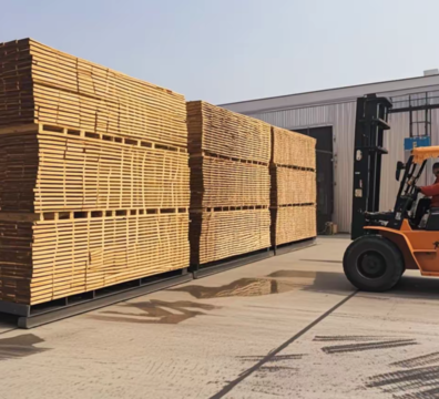 Softwood Drying kiln